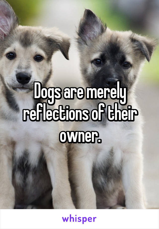 Dogs are merely reflections of their owner.