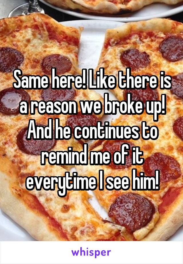 Same here! Like there is a reason we broke up! And he continues to remind me of it everytime I see him!