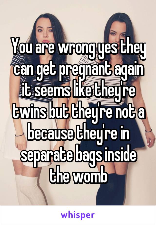 You are wrong yes they can get pregnant again it seems like they're twins but they're not a because they're in separate bags inside the womb