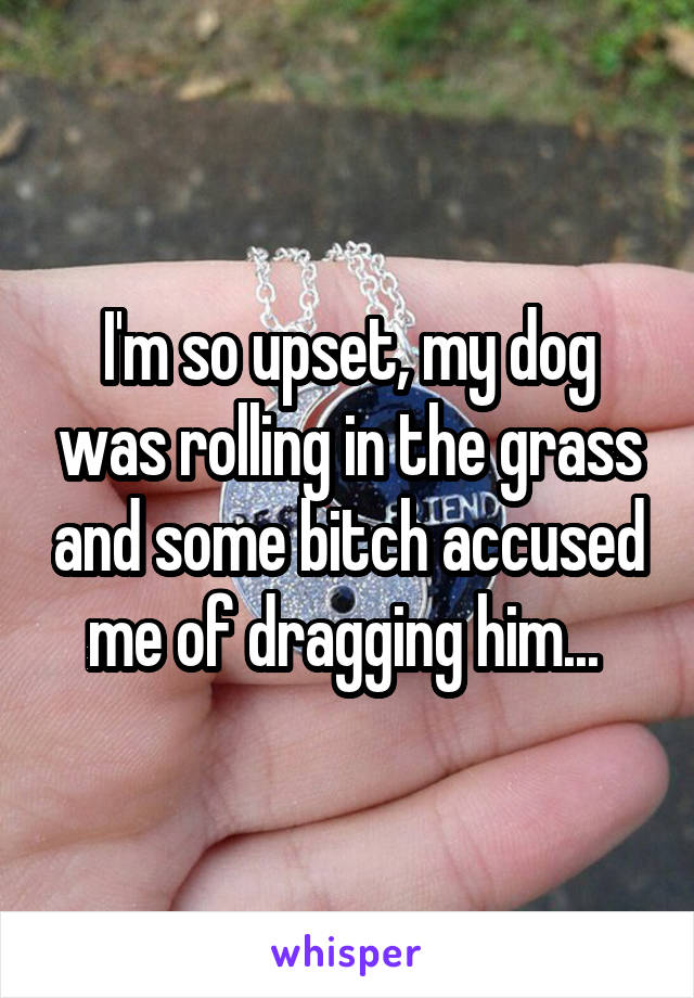 I'm so upset, my dog was rolling in the grass and some bitch accused me of dragging him... 