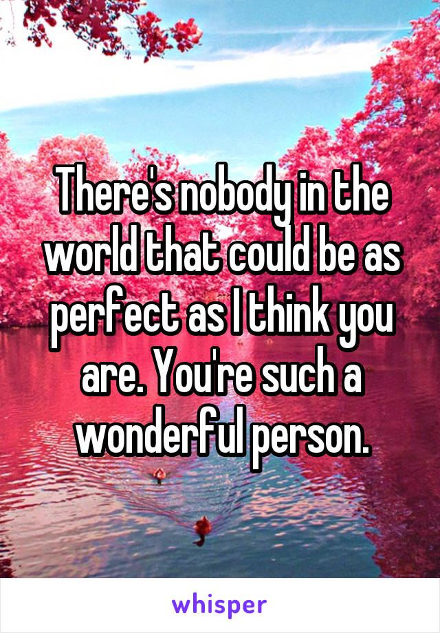 There's nobody in the world that could be as perfect as I think you are. You're such a wonderful person.