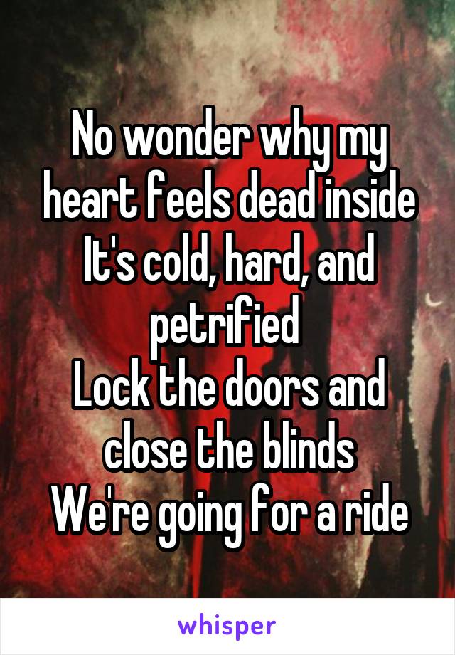 No wonder why my heart feels dead inside
It's cold, hard, and petrified 
Lock the doors and close the blinds
We're going for a ride