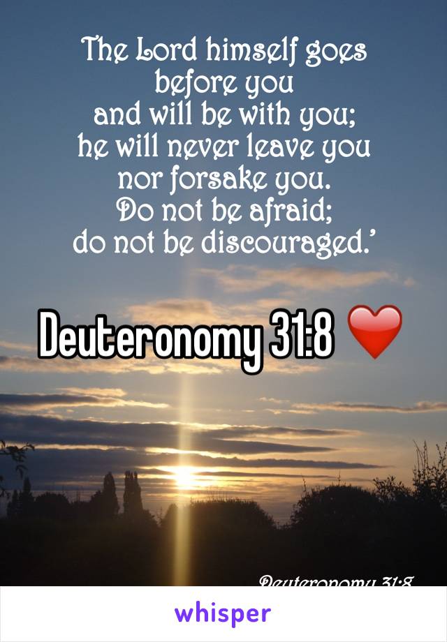 Deuteronomy 31:8 ❤️