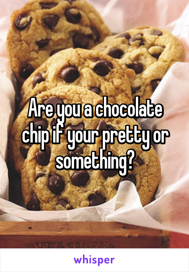 Are you a chocolate chip if your pretty or something?