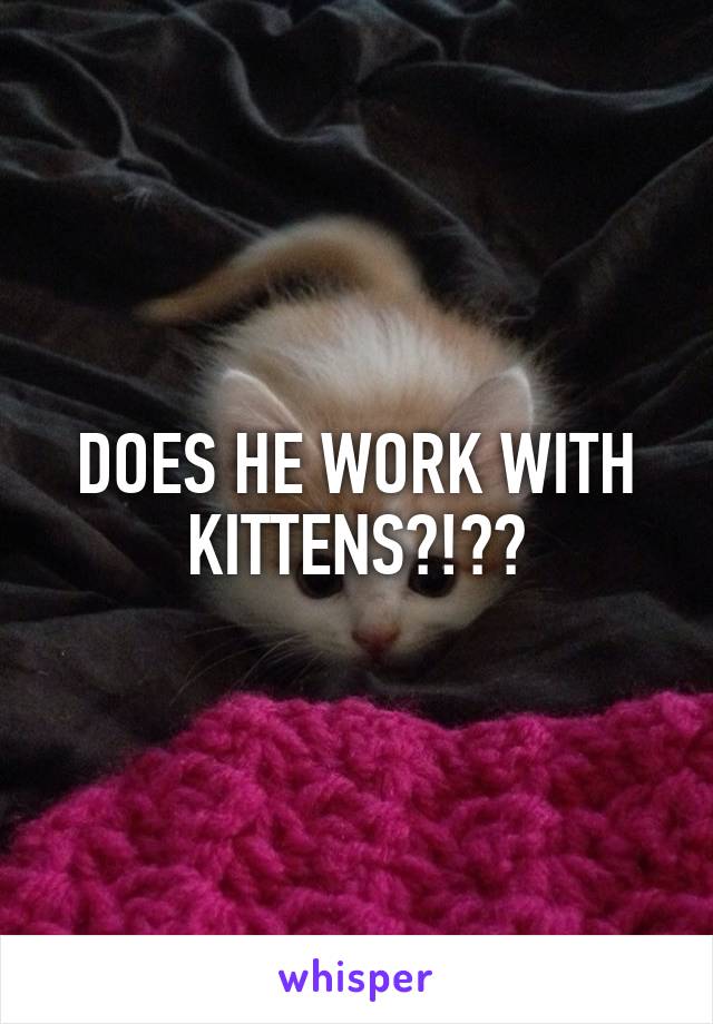 DOES HE WORK WITH KITTENS?!??