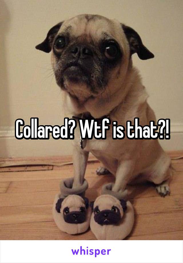 Collared? Wtf is that?!