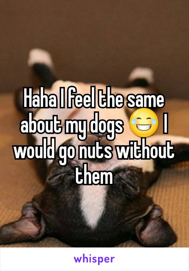 Haha I feel the same about my dogs 😂 I would go nuts without them