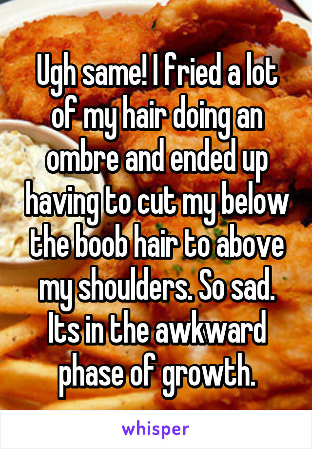 Ugh same! I fried a lot of my hair doing an ombre and ended up having to cut my below the boob hair to above my shoulders. So sad. Its in the awkward phase of growth.