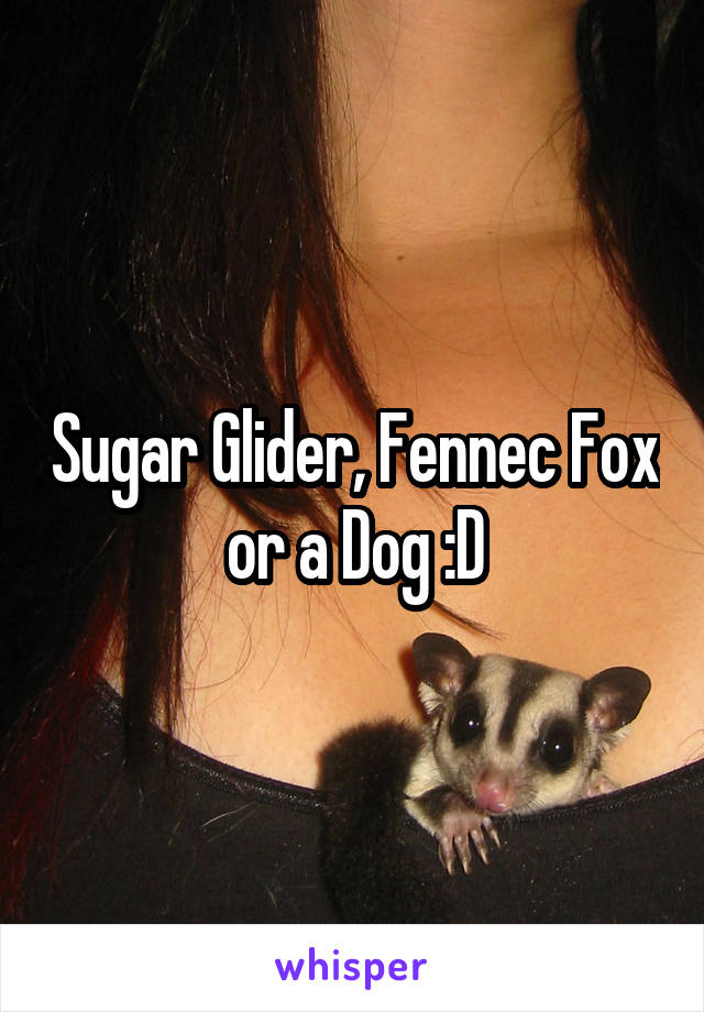 Sugar Glider, Fennec Fox or a Dog :D