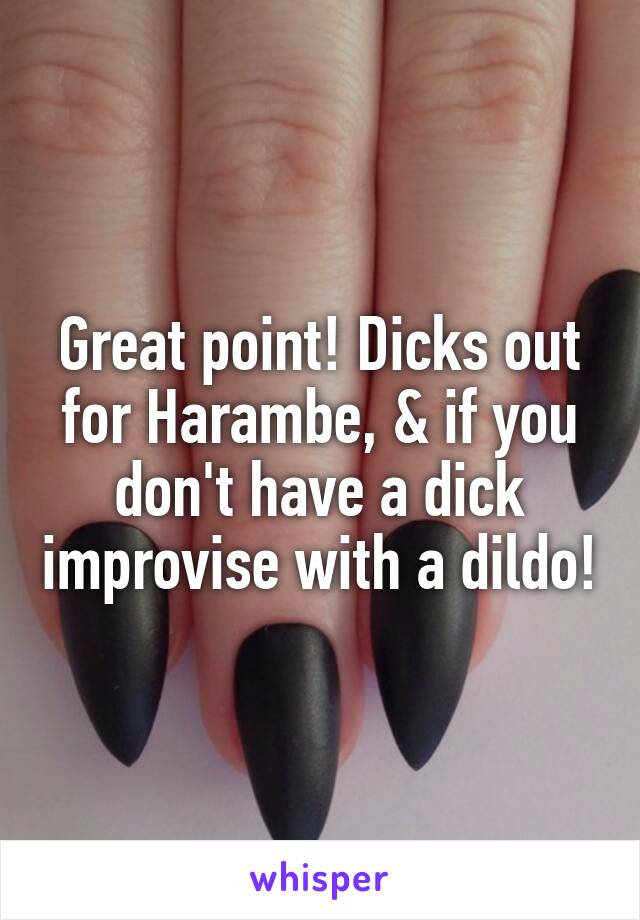 Great point! Dicks out for Harambe, & if you don't have a dick improvise with a dildo!