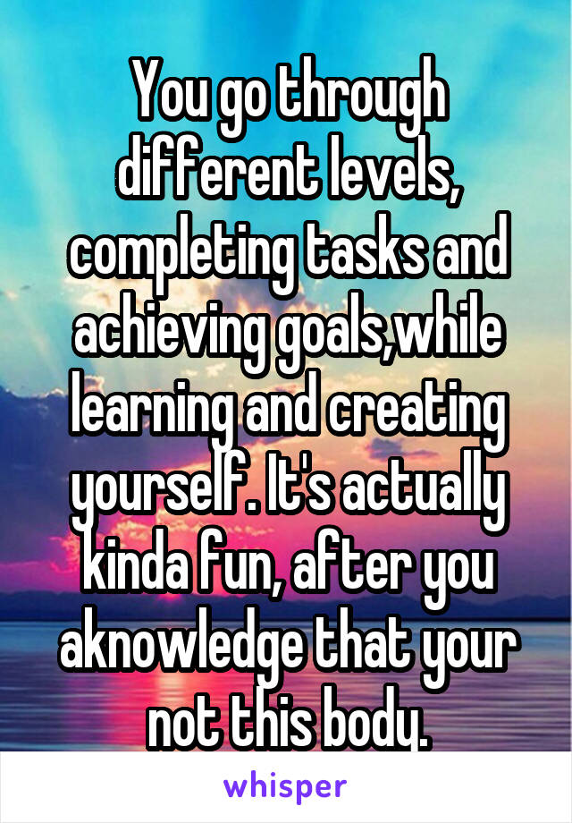 You go through different levels, completing tasks and achieving goals,while learning and creating yourself. It's actually kinda fun, after you aknowledge that your not this body.