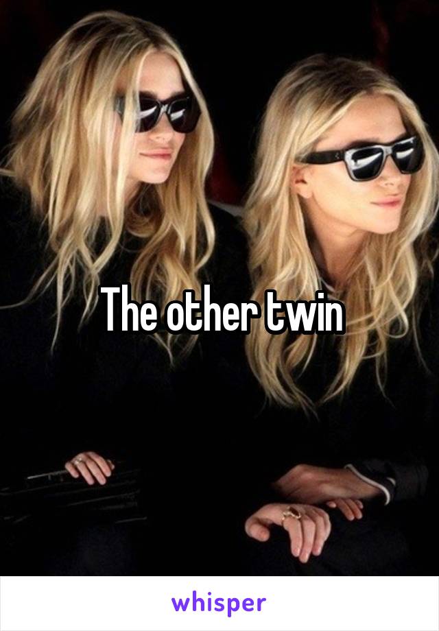 The other twin