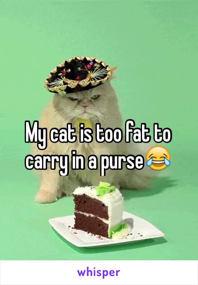 My cat is too fat to carry in a purse😂