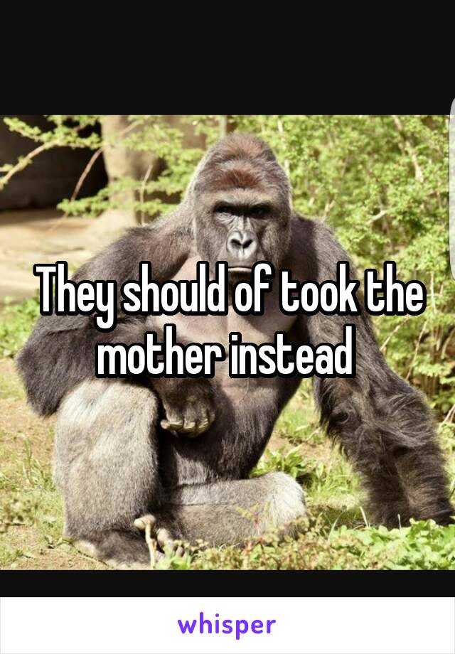 They should of took the mother instead 