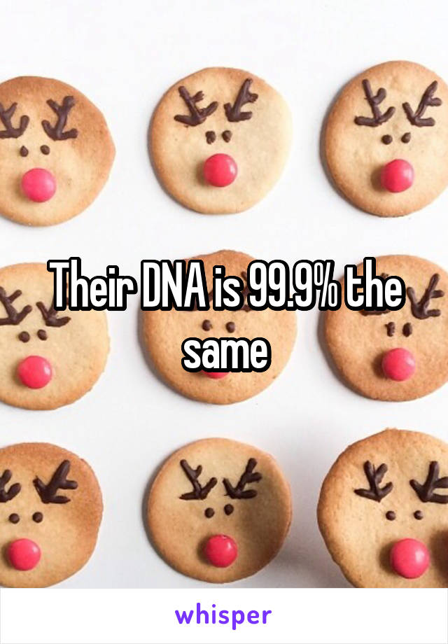 Their DNA is 99.9% the same