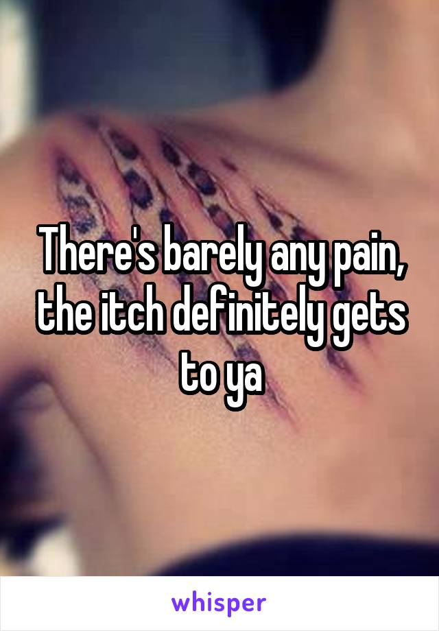 There's barely any pain, the itch definitely gets to ya