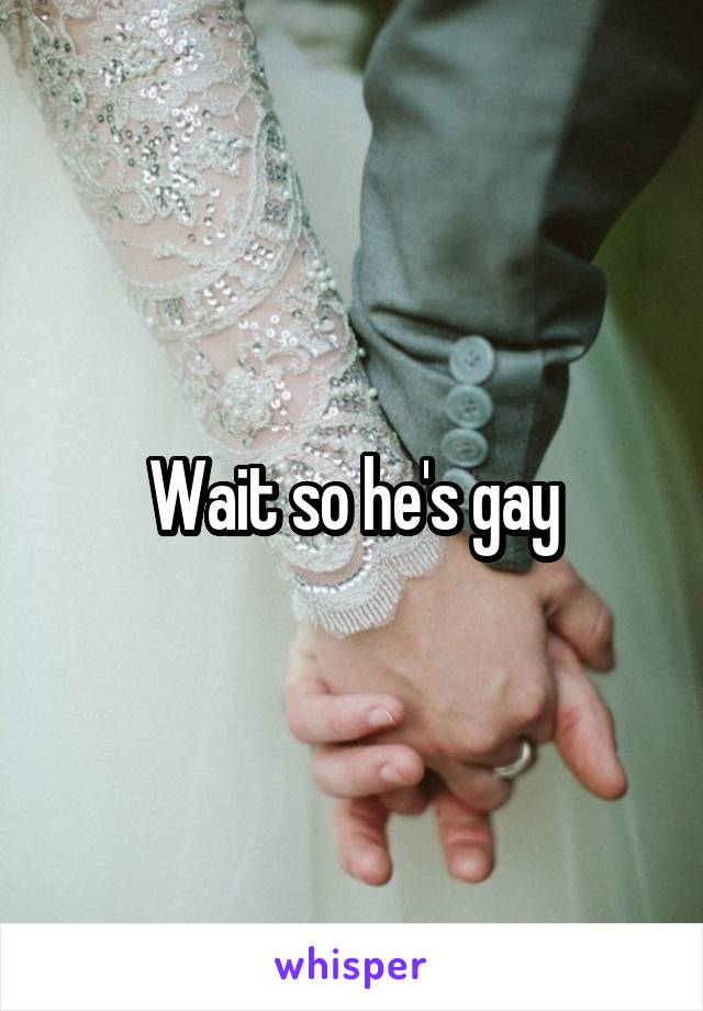 Wait so he's gay