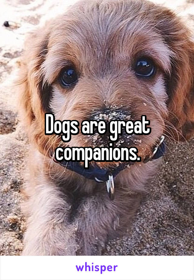 Dogs are great companions.