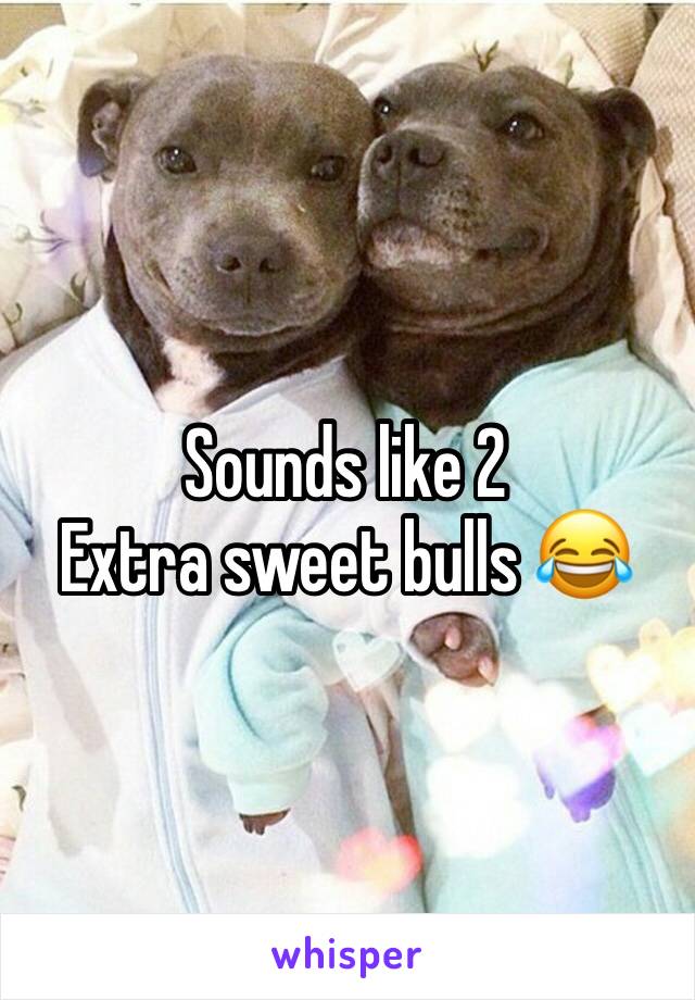 Sounds like 2
Extra sweet bulls 😂