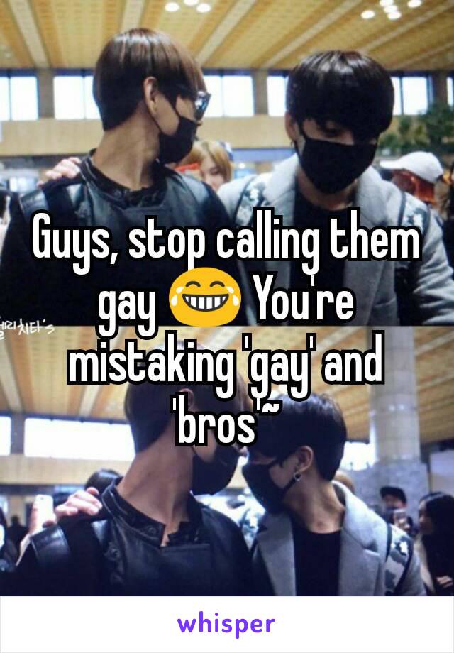 Guys, stop calling them gay 😂 You're mistaking 'gay' and 'bros'~