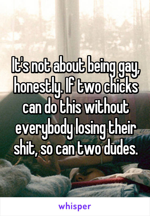 It's not about being gay, honestly. If two chicks can do this without everybody losing their shit, so can two dudes.