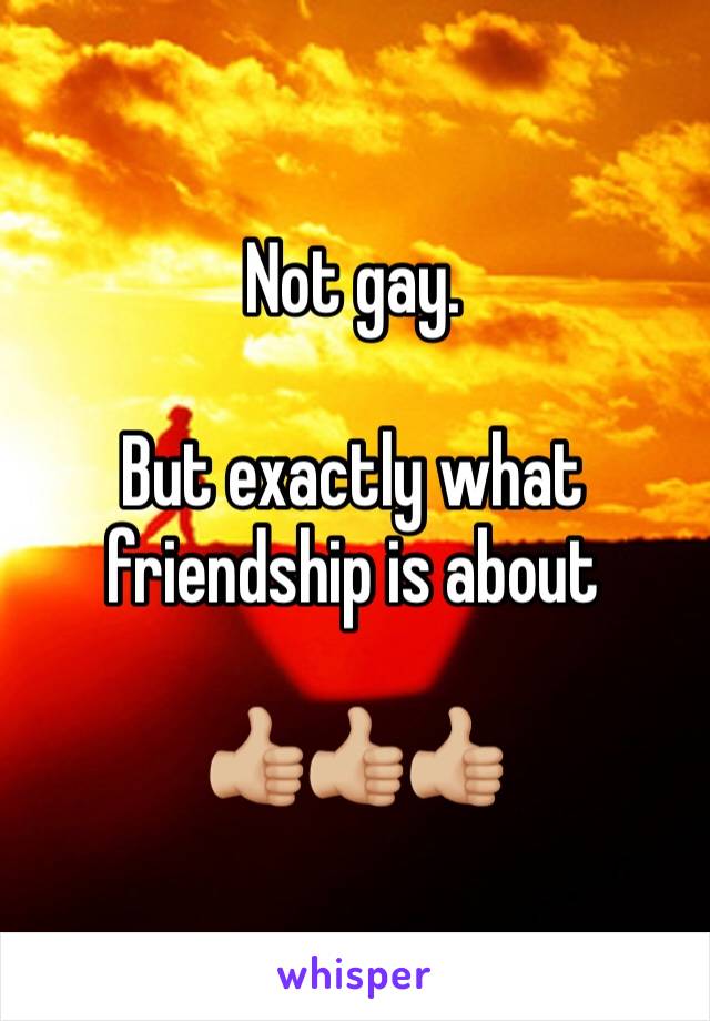 Not gay. 

But exactly what friendship is about 

👍🏼👍🏼👍🏼