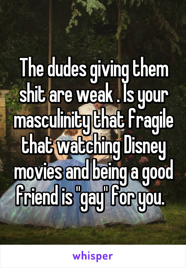 The dudes giving them shit are weak . Is your masculinity that fragile that watching Disney movies and being a good friend is "gay" for you.  