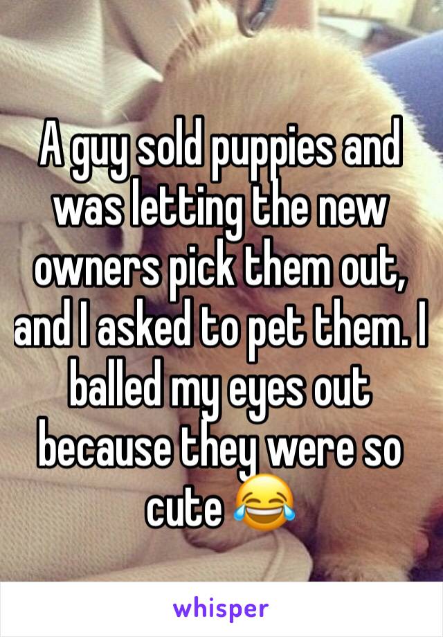 A guy sold puppies and was letting the new owners pick them out, and I asked to pet them. I balled my eyes out because they were so cute 😂