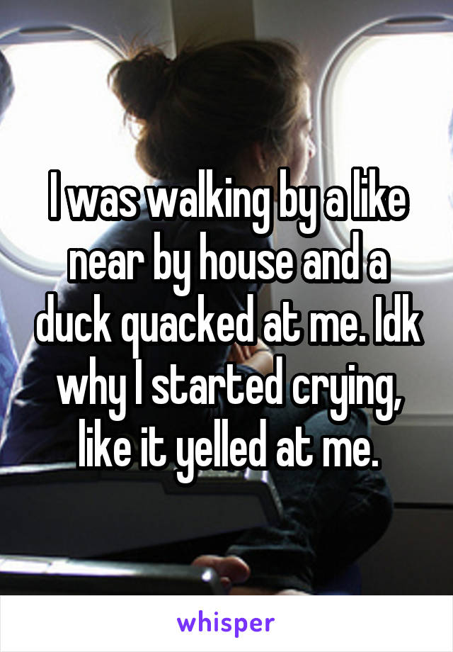 I was walking by a like near by house and a duck quacked at me. Idk why I started crying, like it yelled at me.