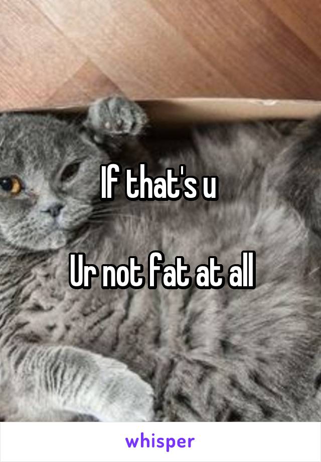 If that's u 

Ur not fat at all