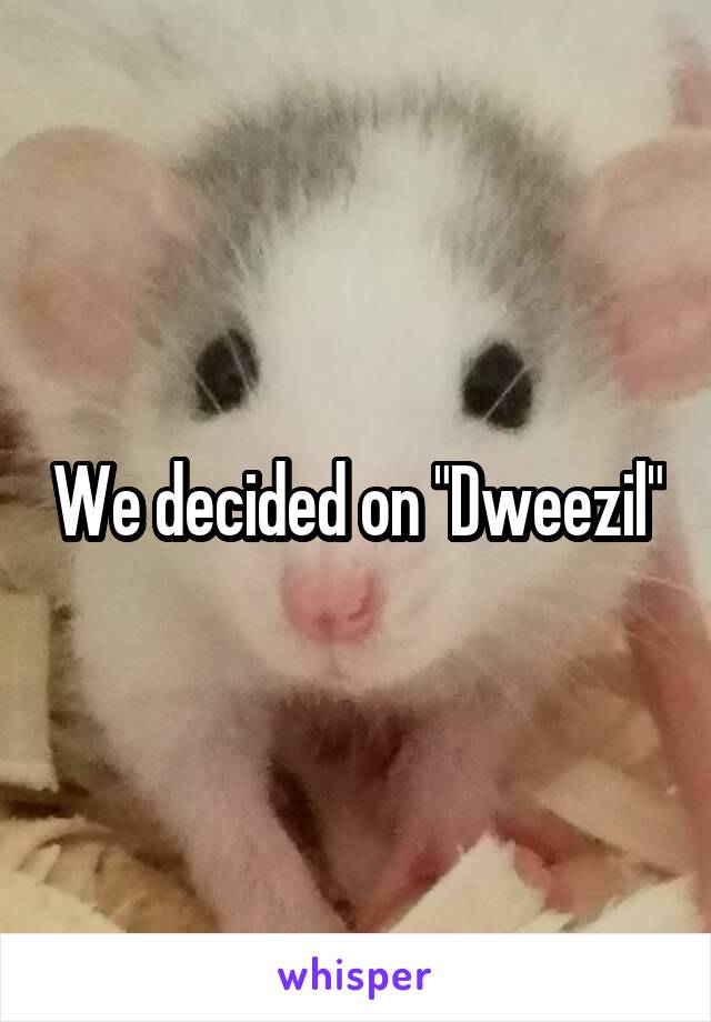 We decided on "Dweezil"