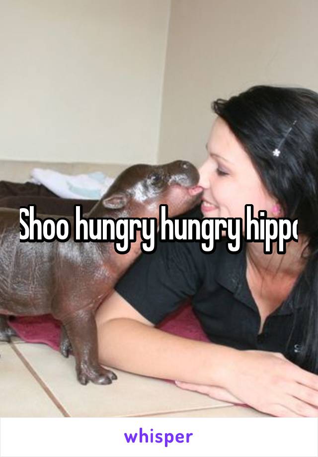 Shoo hungry hungry hippo