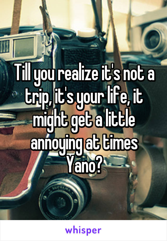 Till you realize it's not a trip, it's your life, it might get a little annoying at times Yano?