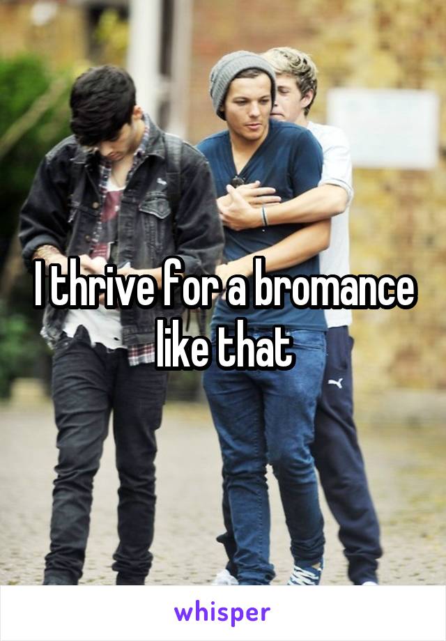 I thrive for a bromance like that