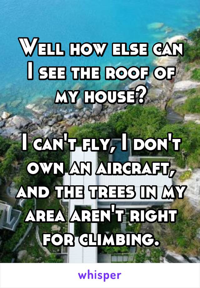 Well how else can I see the roof of my house?

I can't fly, I don't own an aircraft, and the trees in my area aren't right for climbing.