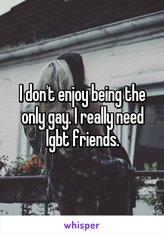 I don't enjoy being the only gay. I really need lgbt friends.