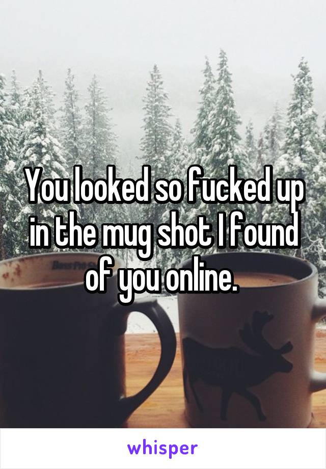 You looked so fucked up in the mug shot I found of you online. 