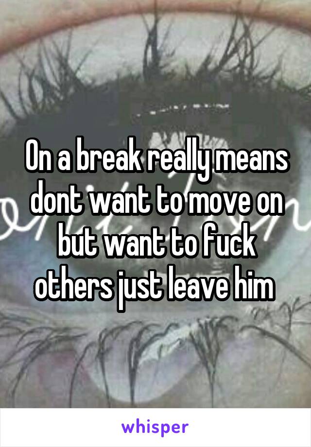 On a break really means dont want to move on but want to fuck others just leave him 