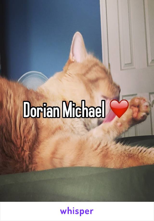 Dorian Michael ❤️