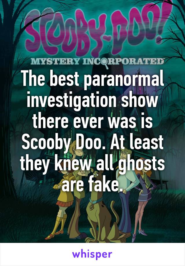 The best paranormal investigation show there ever was is Scooby Doo. At least they knew all ghosts are fake.