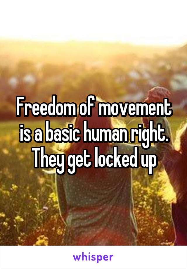 Freedom of movement is a basic human right. They get locked up