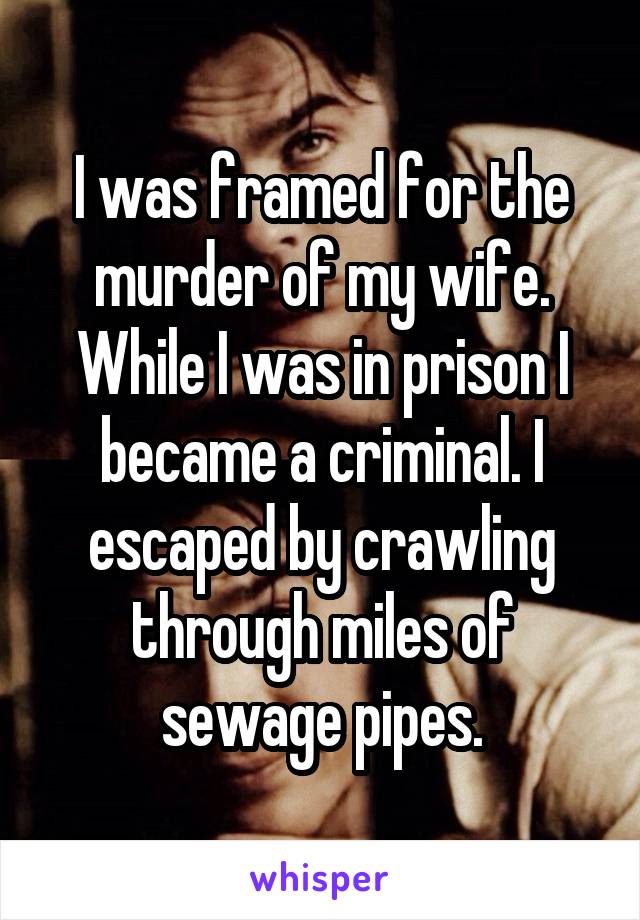 I was framed for the murder of my wife. While I was in prison I became a criminal. I escaped by crawling through miles of sewage pipes.