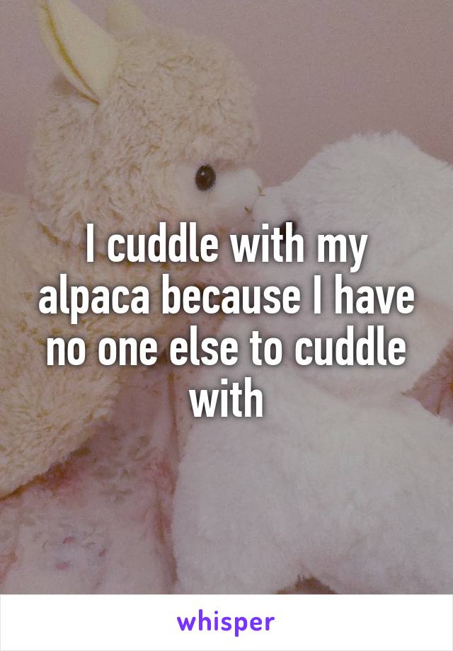 I cuddle with my alpaca because I have no one else to cuddle with