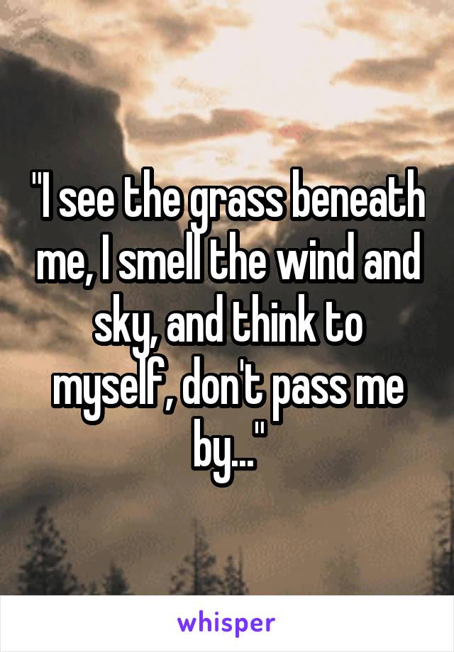 "I see the grass beneath me, I smell the wind and sky, and think to myself, don't pass me by..."