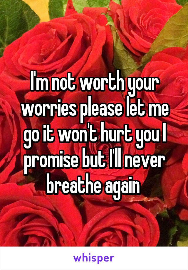 I'm not worth your worries please let me go it won't hurt you I promise but I'll never breathe again 