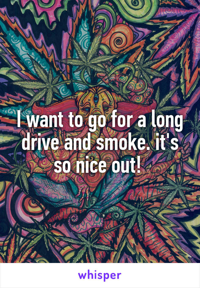 I want to go for a long drive and smoke. it's so nice out! 