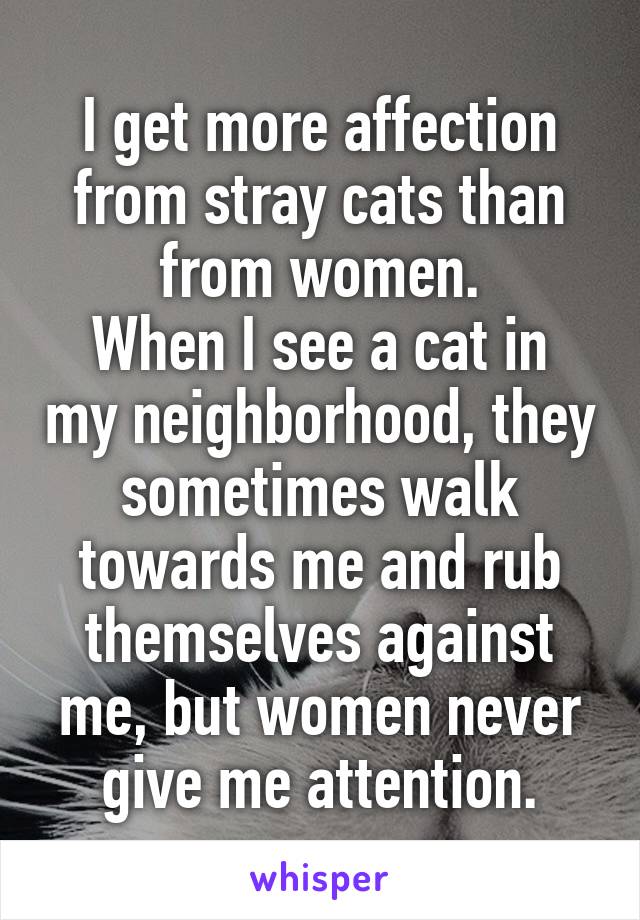 I get more affection from stray cats than from women.
When I see a cat in my neighborhood, they sometimes walk towards me and rub themselves against me, but women never give me attention.