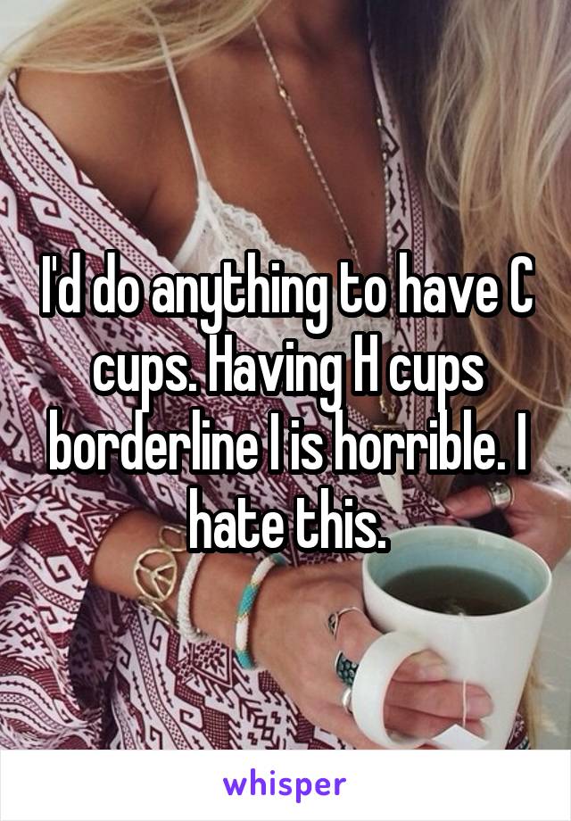 I'd do anything to have C cups. Having H cups borderline I is horrible. I hate this.