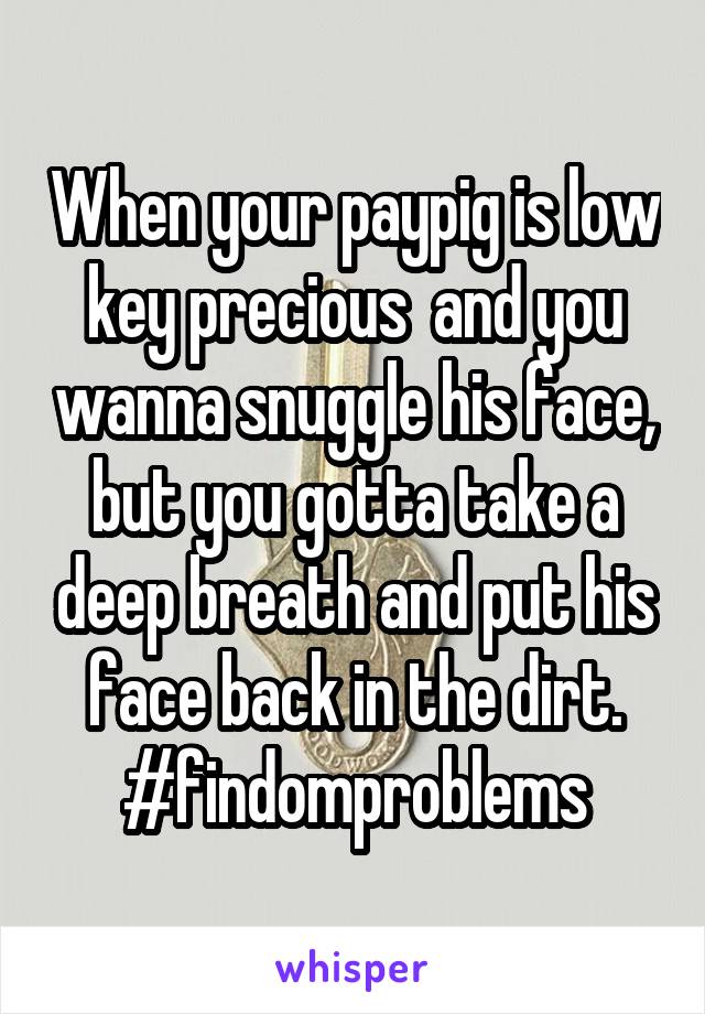 When your paypig is low key precious  and you wanna snuggle his face, but you gotta take a deep breath and put his face back in the dirt.
#findomproblems
