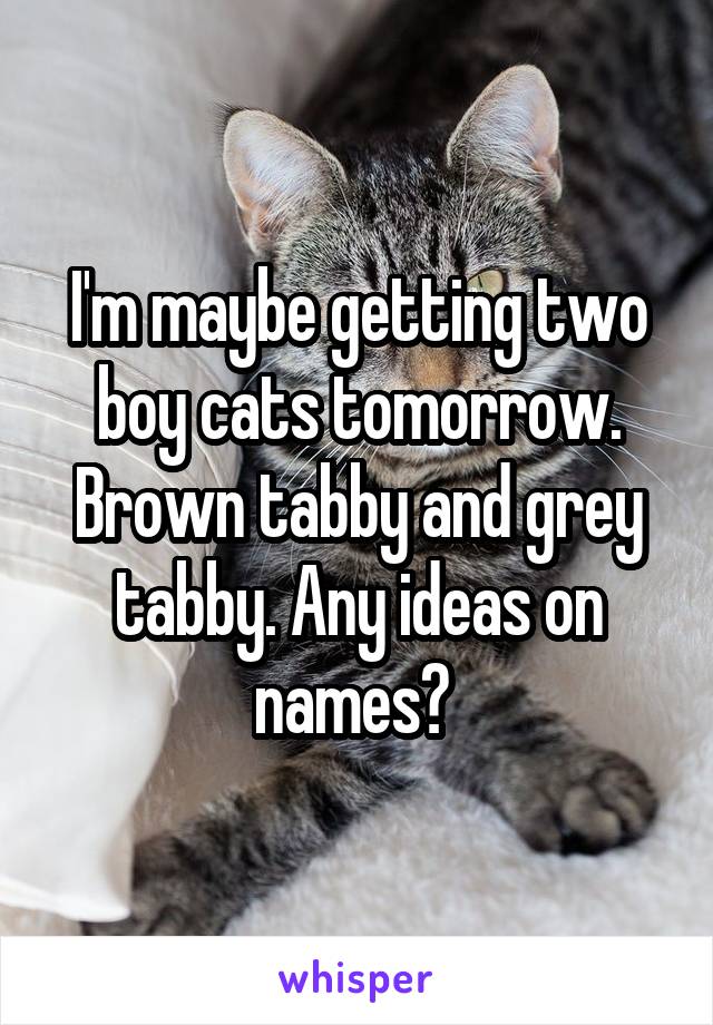 I'm maybe getting two boy cats tomorrow. Brown tabby and grey tabby. Any ideas on names? 
